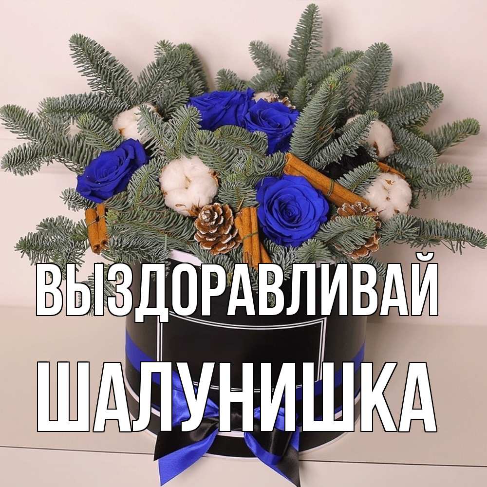 Открытка на каждый день с именем, шалунишка Выздоравливай короче кто то загрузил эти шишки Прикольная открытка с пожеланием онлайн скачать бесплатно 