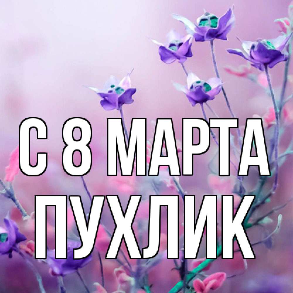 Открытка на каждый день с именем, пухлик C 8 МАРТА международный женский день 2 Прикольная открытка с пожеланием онлайн скачать бесплатно 