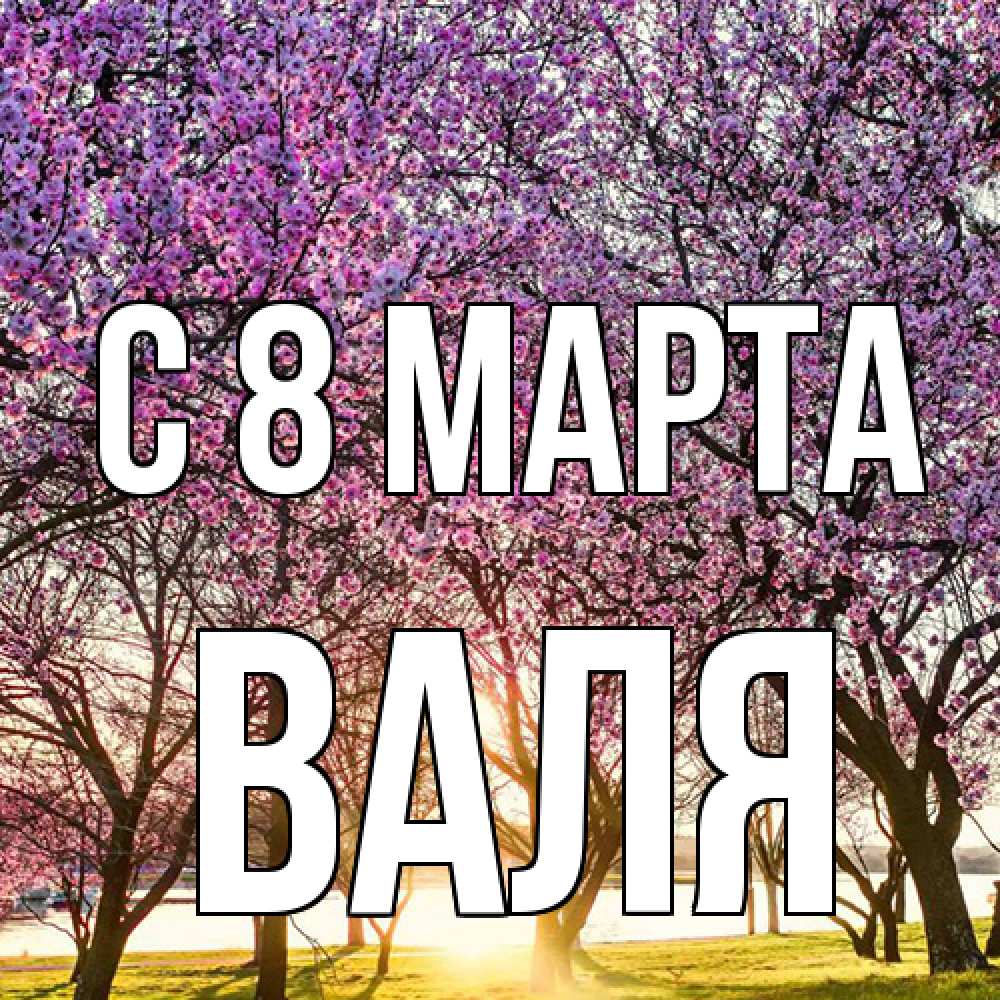 Открытка на каждый день с именем, Валя C 8 МАРТА международный женский день Прикольная открытка с пожеланием онлайн скачать бесплатно 