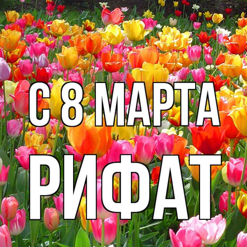 Картинка C 8 МАРТА, Рифат