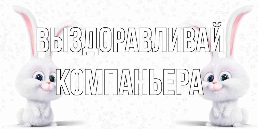Открытка на каждый день с именем, Компаньера Выздоравливай не болей с зайцем Прикольная открытка с пожеланием онлайн скачать бесплатно 