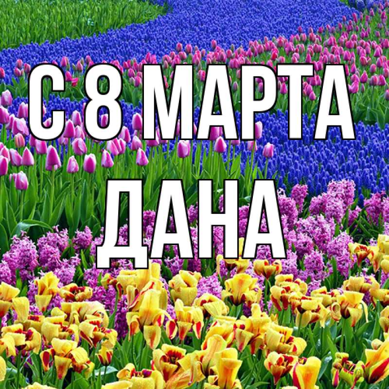 Картинка C 8 МАРТА, Дана