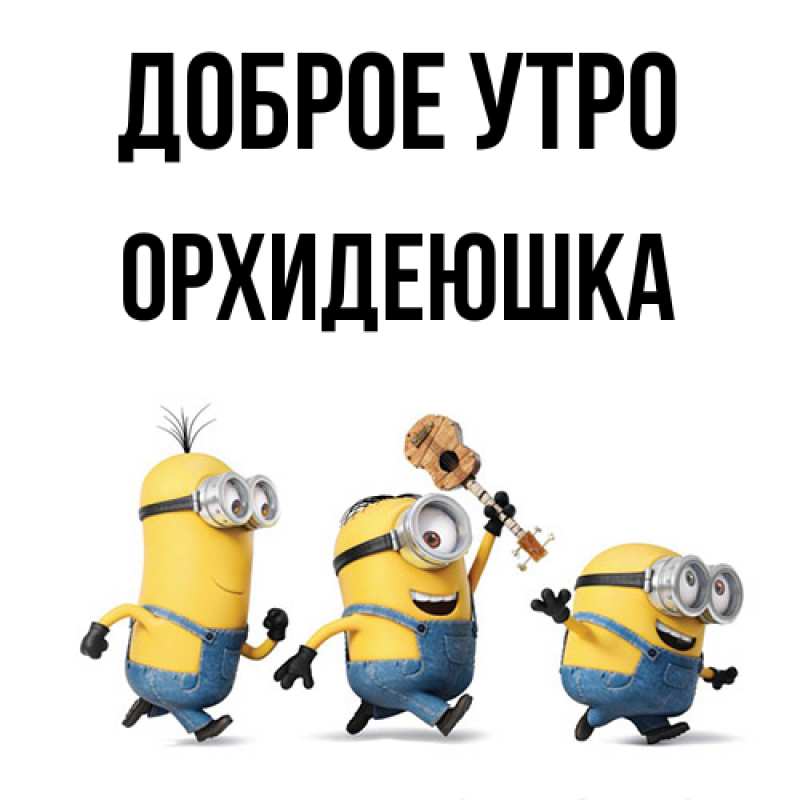 Картинка Доброе утро, Орхидеюшка