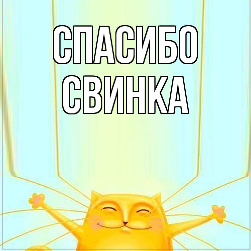 Открытка на каждый день с именем, Свинка Спасибо кот с усами благодарит Прикольная открытка с пожеланием онлайн скачать бесплатно 