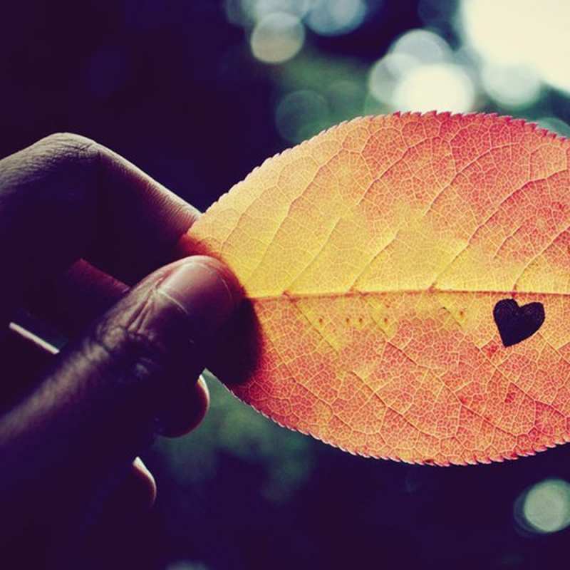 Картинка Я тебя люблю, Злата