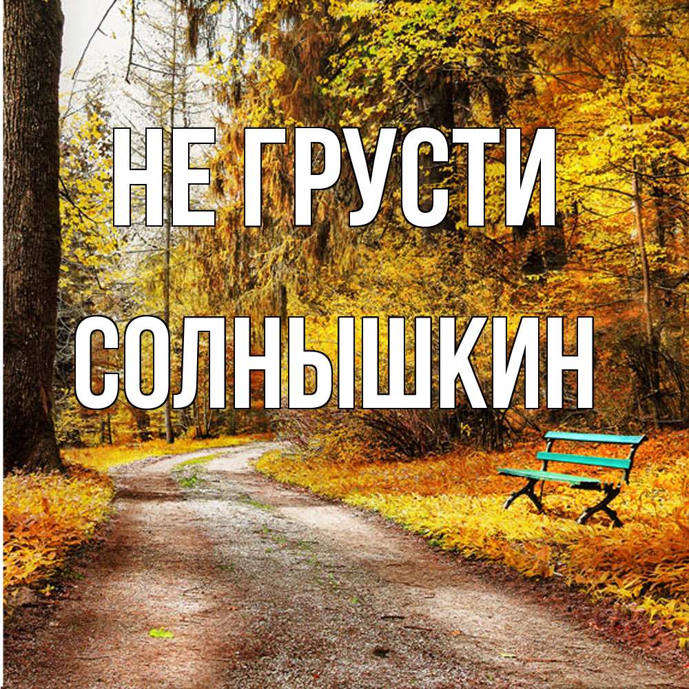 Открытка на каждый день с именем, Солнышкин Не грусти зеленая лавочка Прикольная открытка с пожеланием онлайн скачать бесплатно 