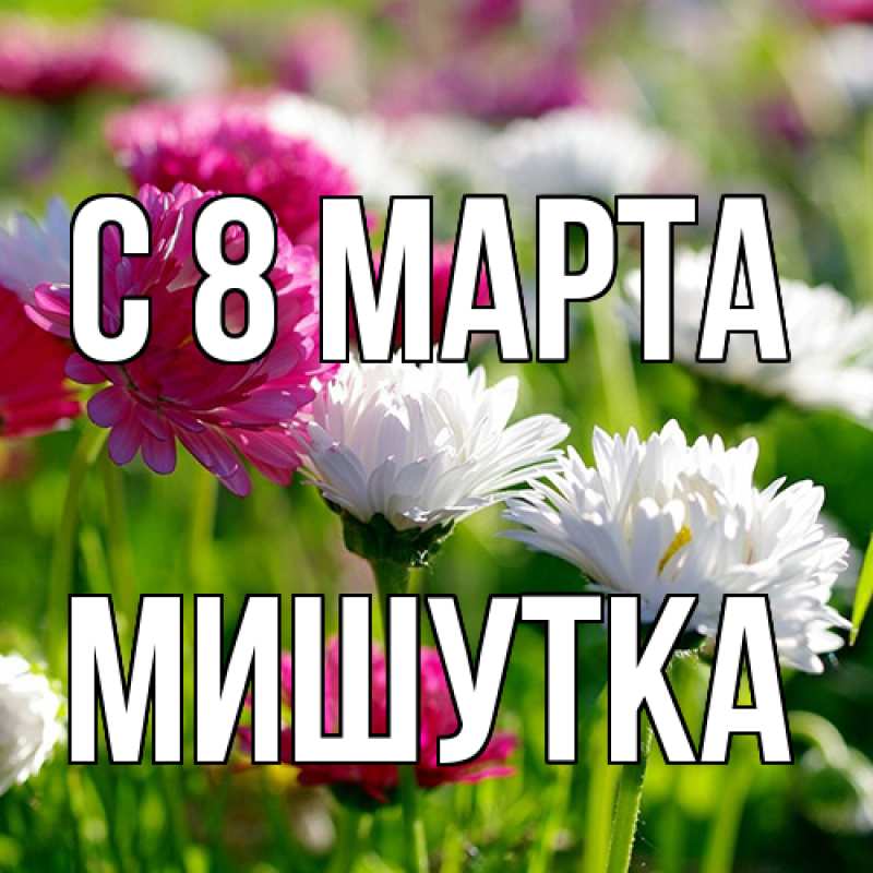 Картинка C 8 МАРТА, Мишутка