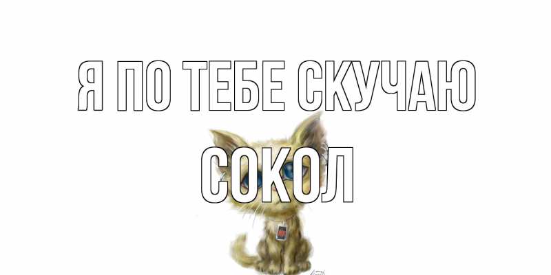 Картинка Я по тебе скучаю, Сокол