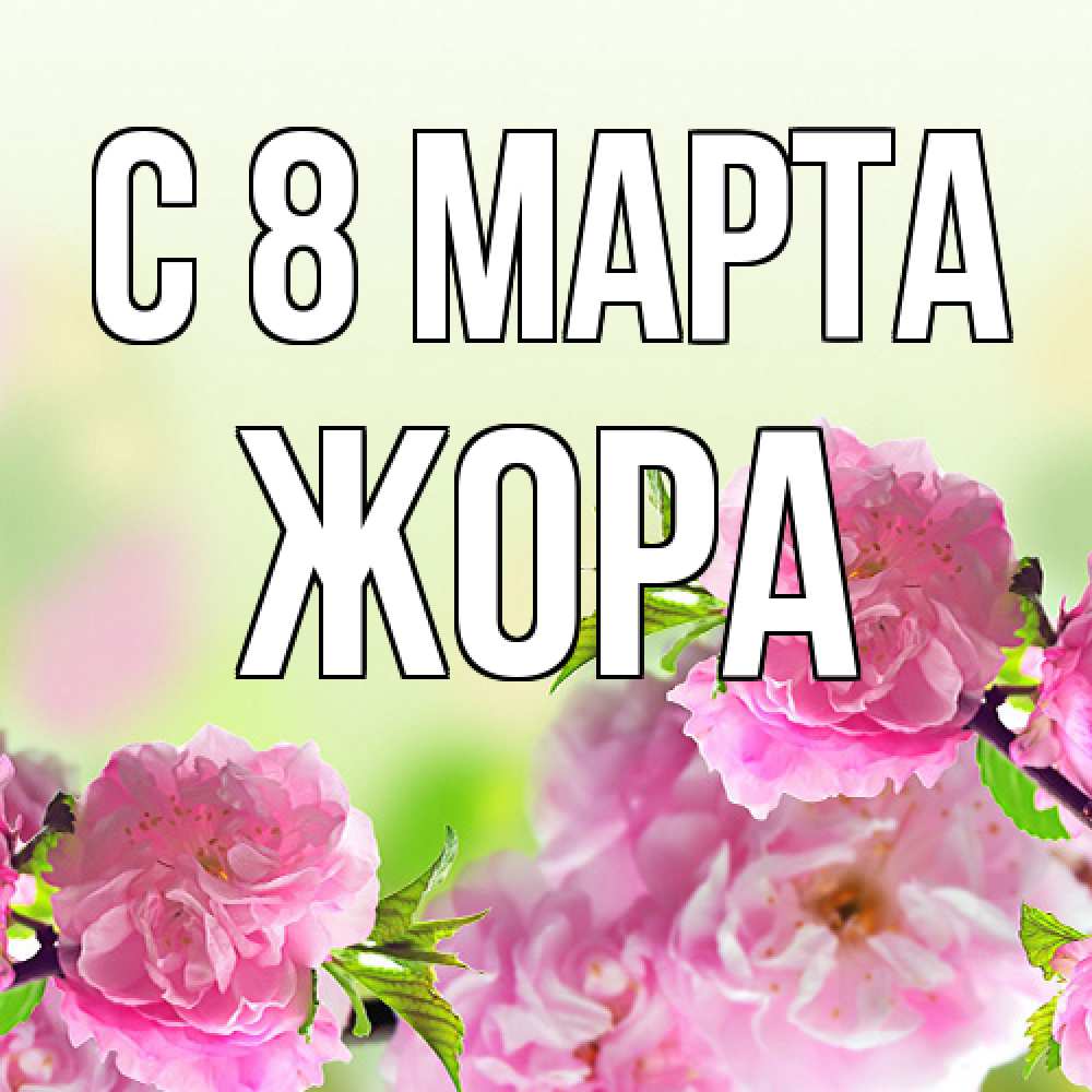 Открытка на каждый день с именем, Жора C 8 МАРТА цветы Прикольная открытка с пожеланием онлайн скачать бесплатно 