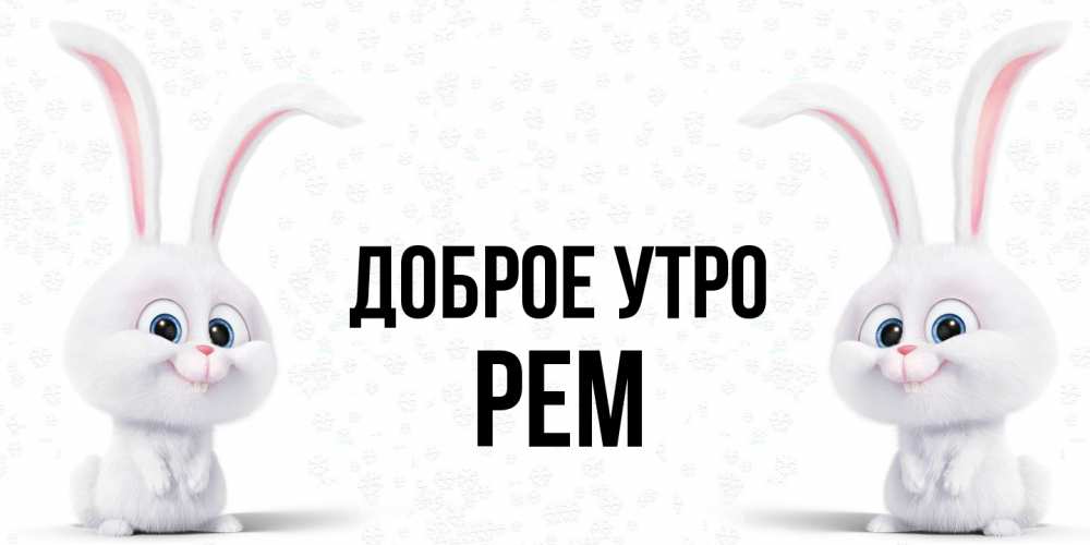 Открытка на каждый день с именем, Рем Доброе утро кролики с длинными ушками Прикольная открытка с пожеланием онлайн скачать бесплатно 