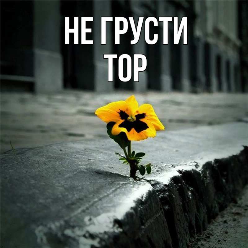 Картинка Не грусти, Тор