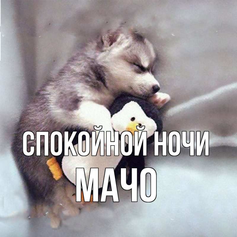 Картинка Спокойной ночи, Мачо