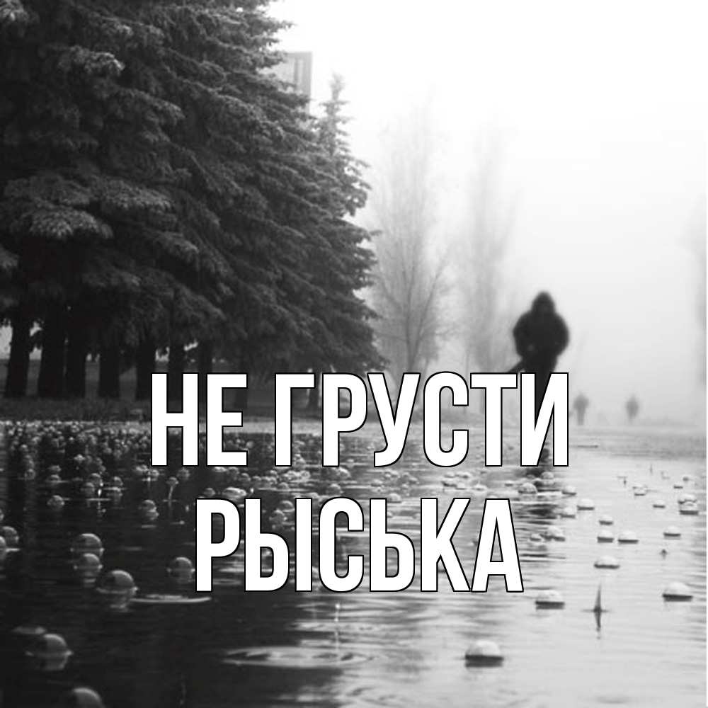 Открытка на каждый день с именем, Рыська Не грусти улица под дождем Прикольная открытка с пожеланием онлайн скачать бесплатно 