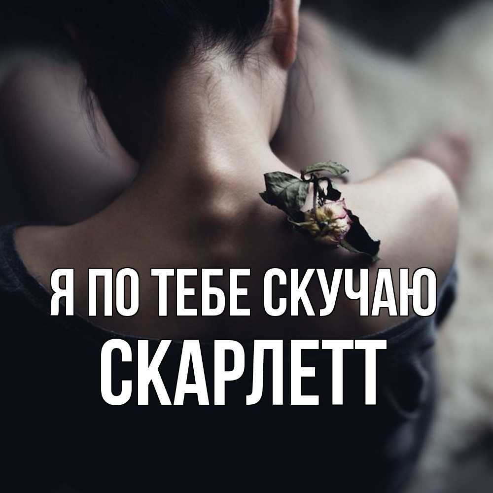 Открытка на каждый день с именем, Скарлетт Я по тебе скучаю засох цветок Прикольная открытка с пожеланием онлайн скачать бесплатно 