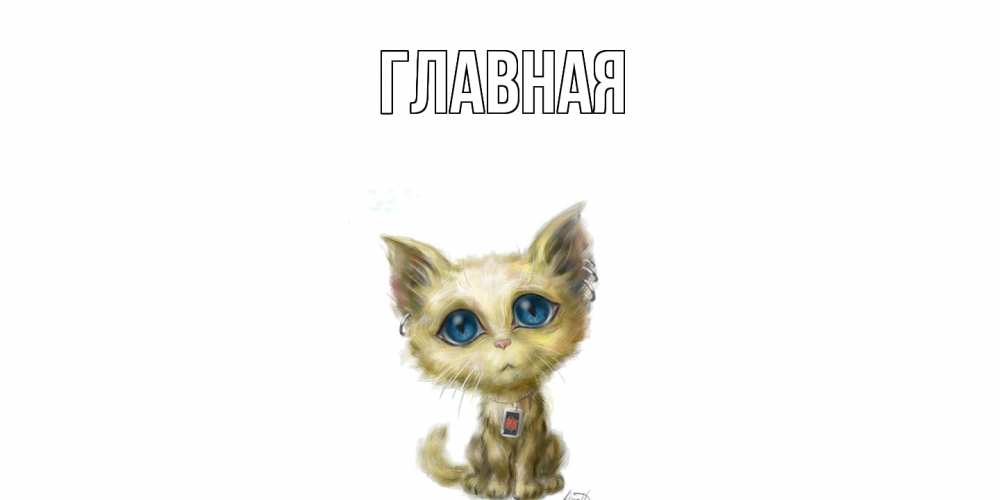 Открытка на каждый день с именем, настя Главная прости меня открытка с котиком Прикольная открытка с пожеланием онлайн скачать бесплатно 