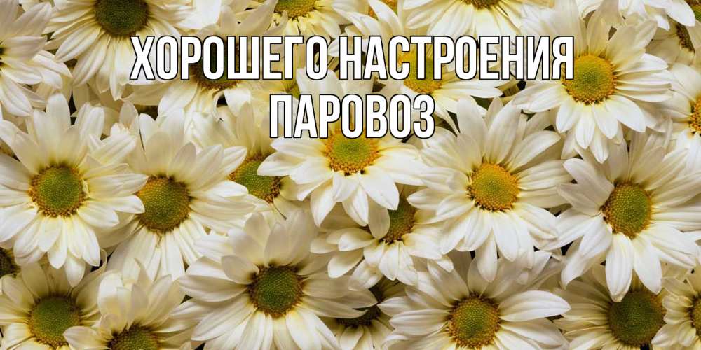 Открытка на каждый день с именем, Паровоз Хорошего настроения крупные ромашки Прикольная открытка с пожеланием онлайн скачать бесплатно 