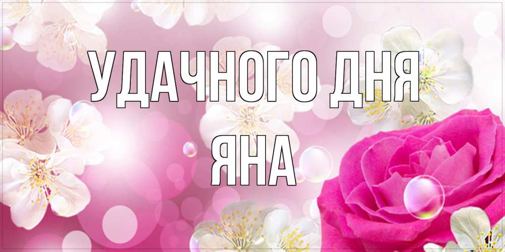 Открытка на каждый день с именем, Яна Удачного дня красивые цветы Прикольная открытка с пожеланием онлайн скачать бесплатно 