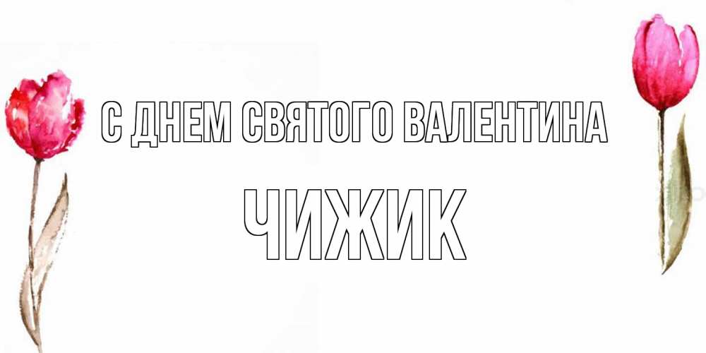 Открытка на каждый день с именем, Чижик С днем Святого Валентина Открытки на день всех влюбленных с тюльпанами акварелью Прикольная открытка с пожеланием онлайн скачать бесплатно 