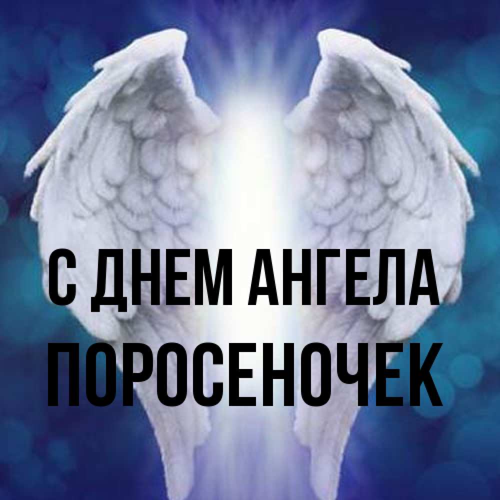 Открытка на каждый день с именем, поросеночек С днем ангела синий фон и крылышки Прикольная открытка с пожеланием онлайн скачать бесплатно 