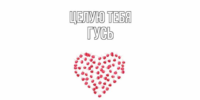 Картинка Целую тебя, Гусь