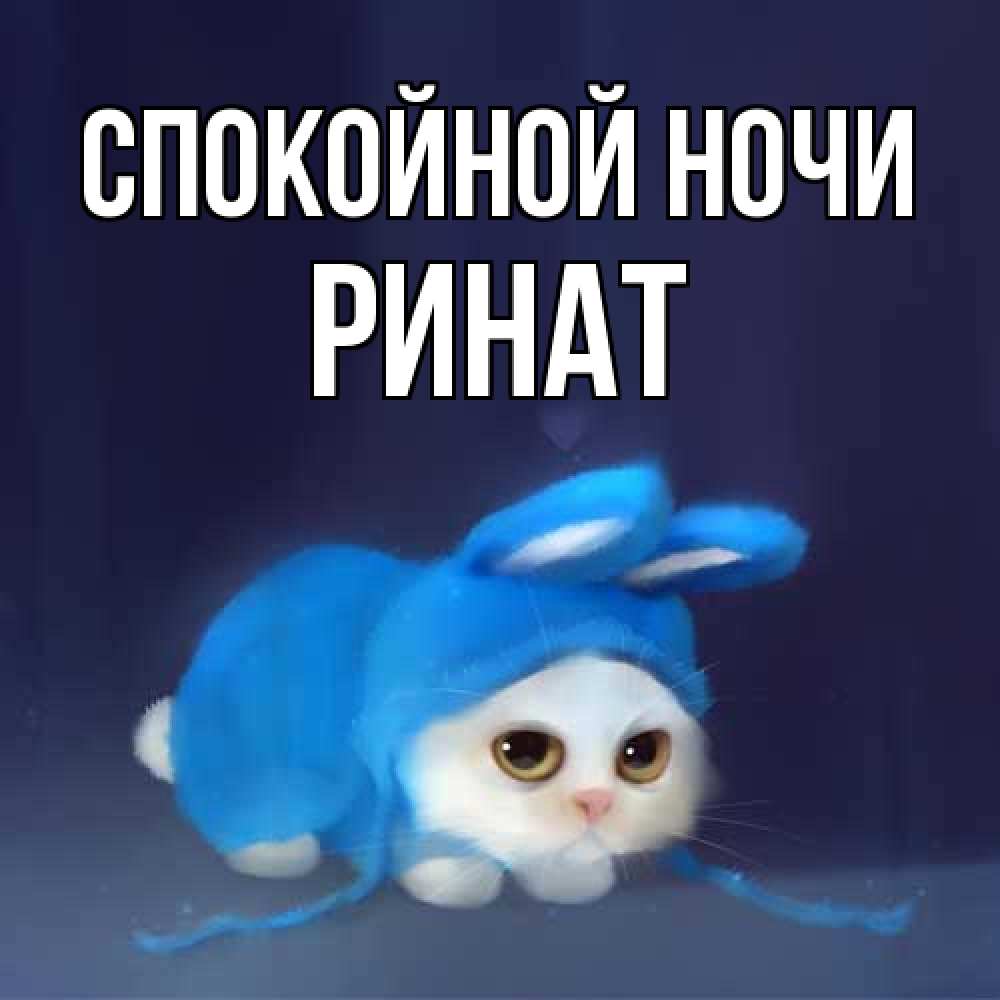 Открытка на каждый день с именем, Ринат Спокойной ночи кот в голубом костюме кролика с ушками Прикольная открытка с пожеланием онлайн скачать бесплатно 