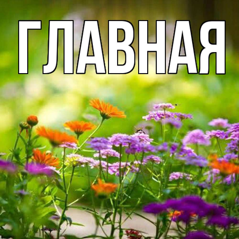 Открытка на каждый день с именем, Анна Главная цветы Прикольная открытка с пожеланием онлайн скачать бесплатно 