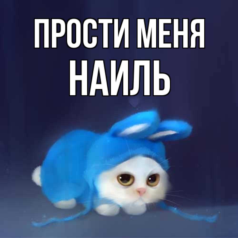 Открытка на каждый день с именем, Наиль Прости меня невинный котозай просит прощения Прикольная открытка с пожеланием онлайн скачать бесплатно 