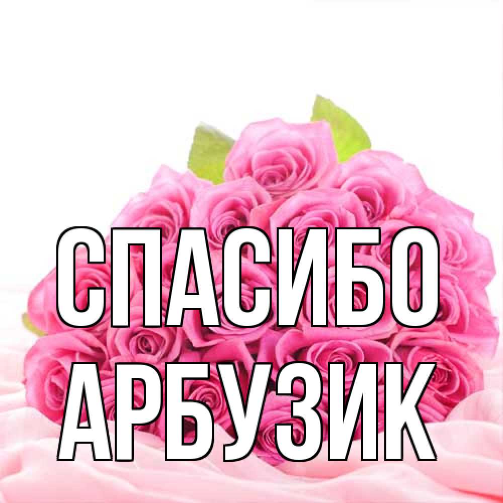 Открытка на каждый день с именем, Арбузик Спасибо розовые розы с подписью Прикольная открытка с пожеланием онлайн скачать бесплатно 