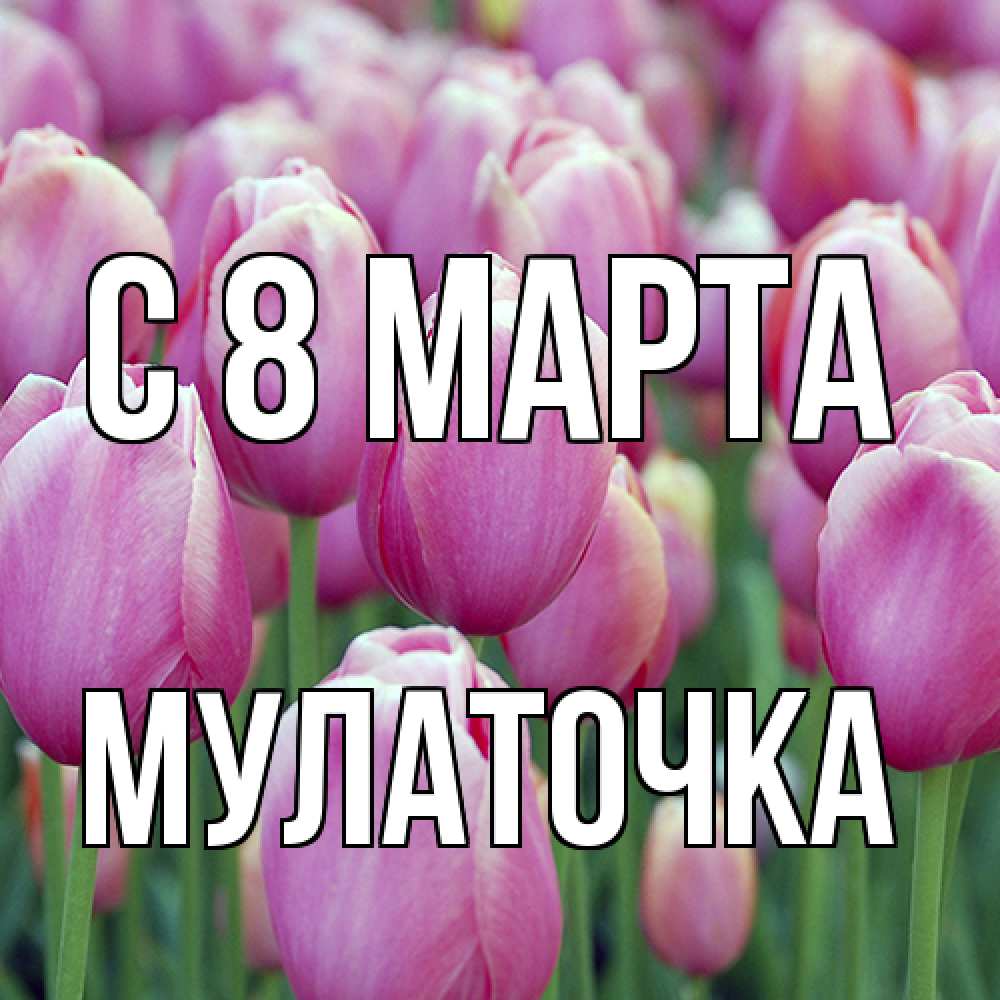 Открытка на каждый день с именем, Мулаточка C 8 МАРТА на международный женский день 3 Прикольная открытка с пожеланием онлайн скачать бесплатно 