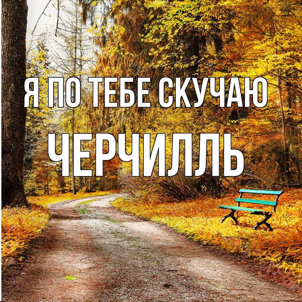 Открытка на каждый день с именем, Черчилль Я по тебе скучаю зеленая лавочка и осенний лес Прикольная открытка с пожеланием онлайн скачать бесплатно 