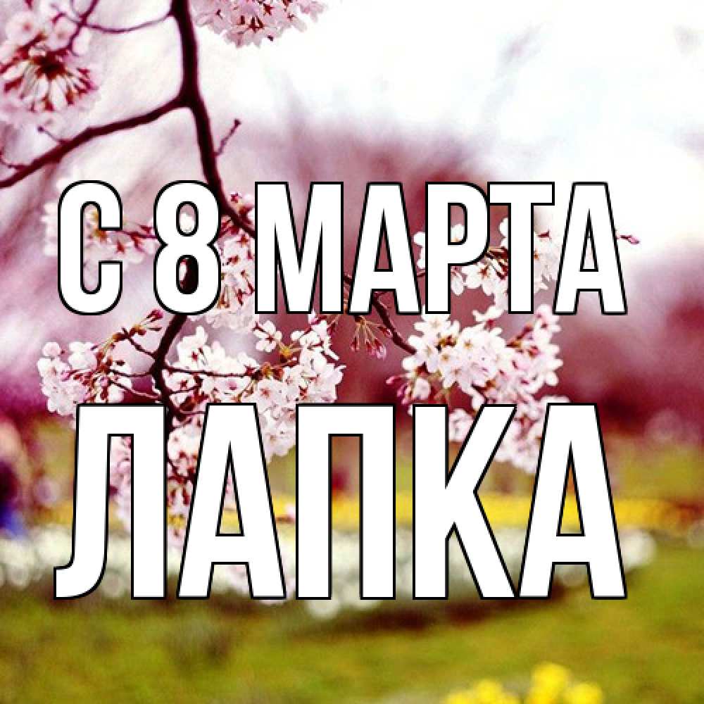 Открытка на каждый день с именем, лапка C 8 МАРТА яблоня Прикольная открытка с пожеланием онлайн скачать бесплатно 