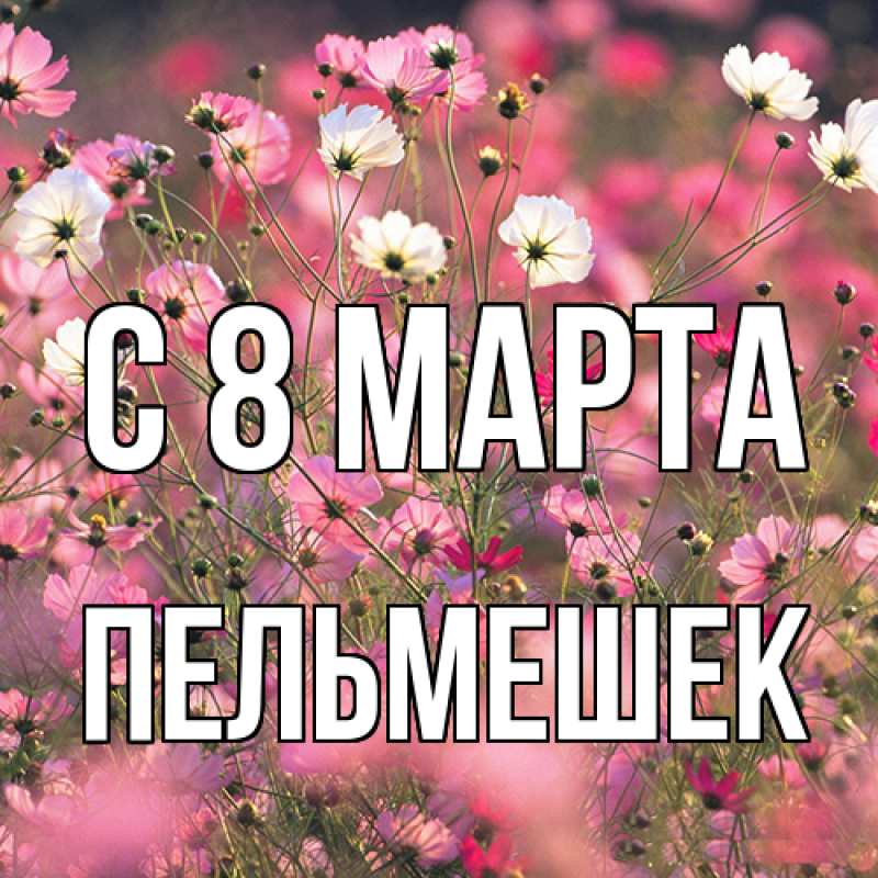 Картинка C 8 МАРТА, пельмешек