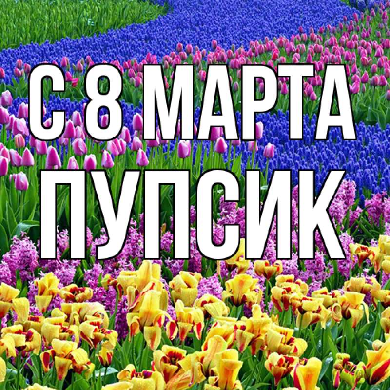 Картинка C 8 МАРТА, пупсик