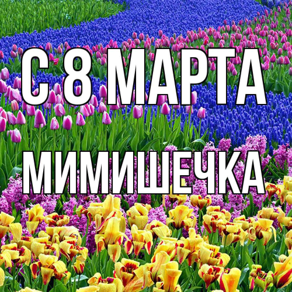 Открытка на каждый день с именем, мимишечка C 8 МАРТА цветы Прикольная открытка с пожеланием онлайн скачать бесплатно 