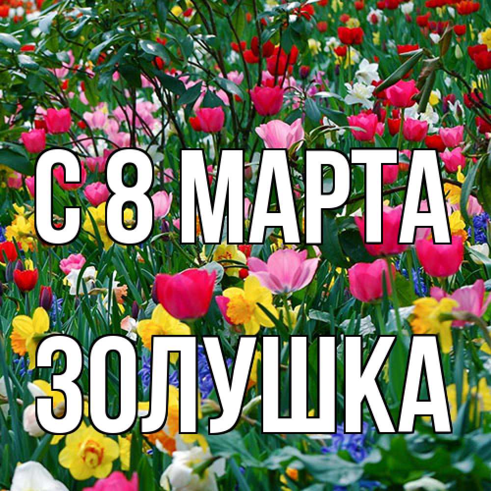 Открытка на каждый день с именем, Золушка C 8 МАРТА с международным женским днем поздравления для женщины Прикольная открытка с пожеланием онлайн скачать бесплатно 