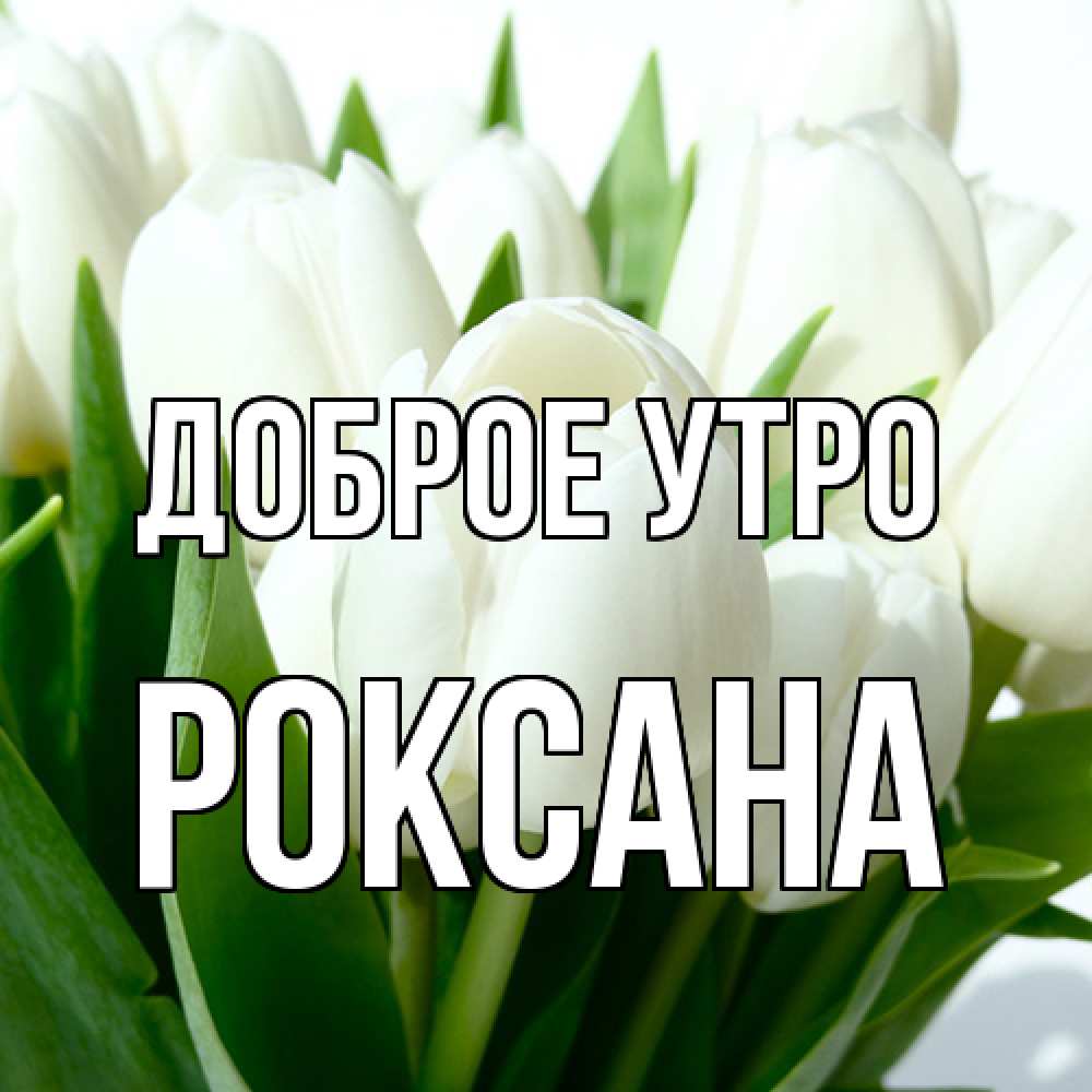 Открытка на каждый день с именем, Роксана Доброе утро открытки на каждый день по именам Прикольная открытка с пожеланием онлайн скачать бесплатно 