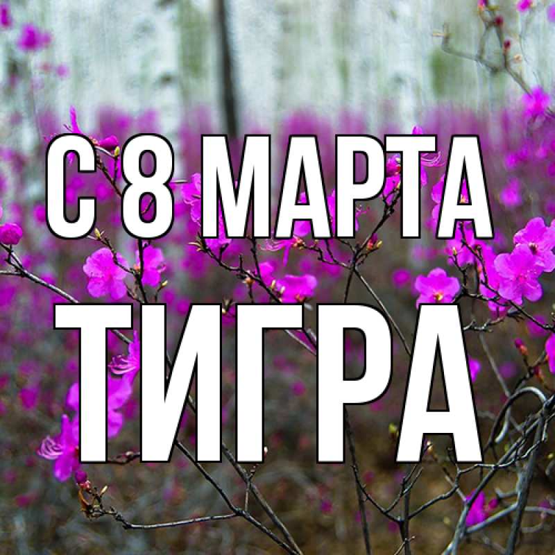 Картинка C 8 МАРТА, Тигpа