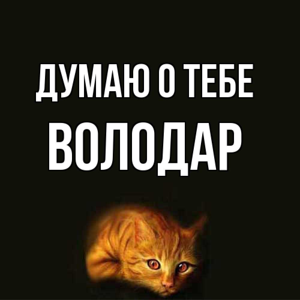 Открытка на каждый день с именем, Володар Думаю о тебе рыжий Прикольная открытка с пожеланием онлайн скачать бесплатно 