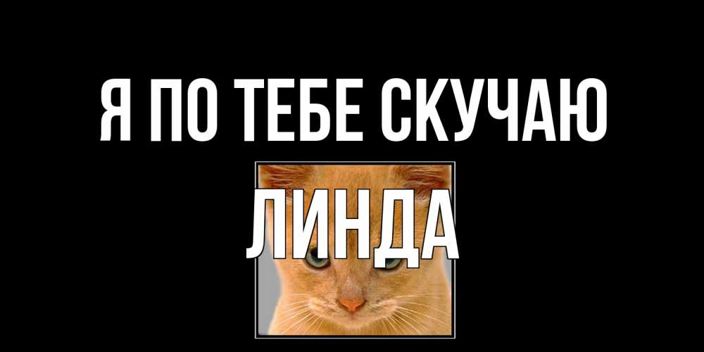 Открытка на каждый день с именем, Линда Я по тебе скучаю открытки рыжий котенок скучает по тебе Прикольная открытка с пожеланием онлайн скачать бесплатно 