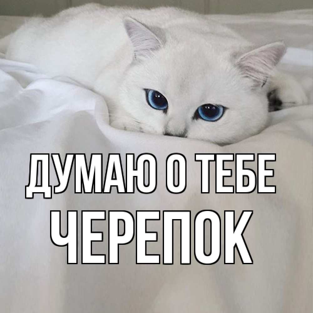 Открытка на каждый день с именем, Черепок Думаю о тебе я очень по тебе скучаю и тоскую Прикольная открытка с пожеланием онлайн скачать бесплатно 