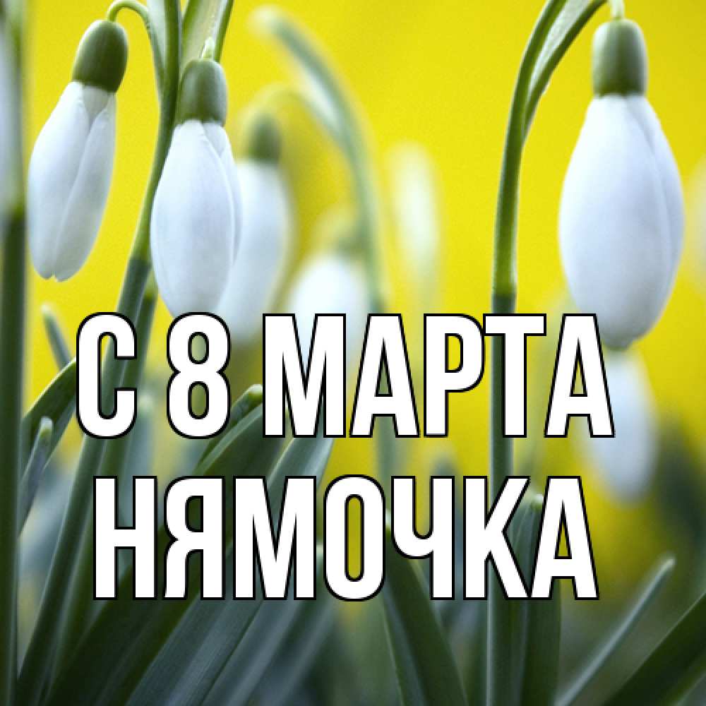 Открытка на каждый день с именем, нямочка C 8 МАРТА весенние цветы Прикольная открытка с пожеланием онлайн скачать бесплатно 