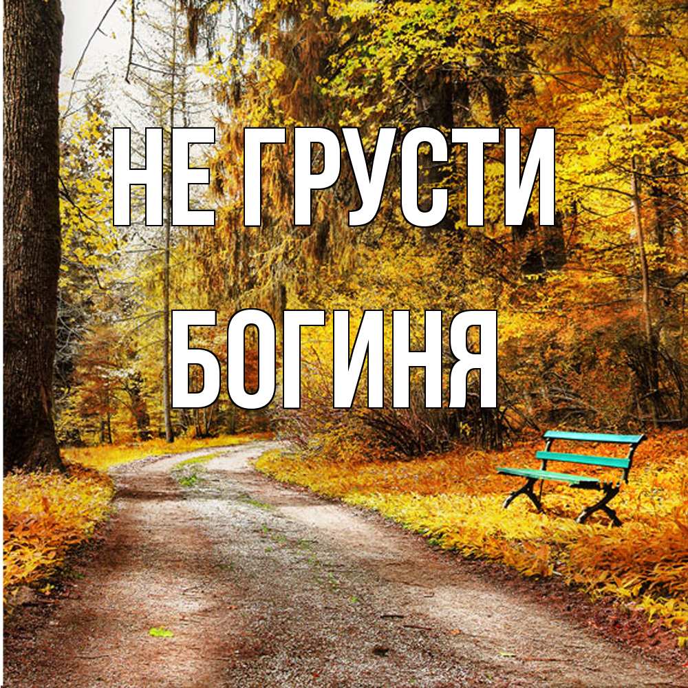 Открытка на каждый день с именем, Богиня Не грусти зеленая лавочка Прикольная открытка с пожеланием онлайн скачать бесплатно 