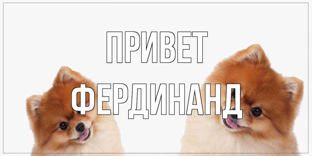 Открытка на каждый день с именем, Фердинанд Привет привет Прикольная открытка с пожеланием онлайн скачать бесплатно 