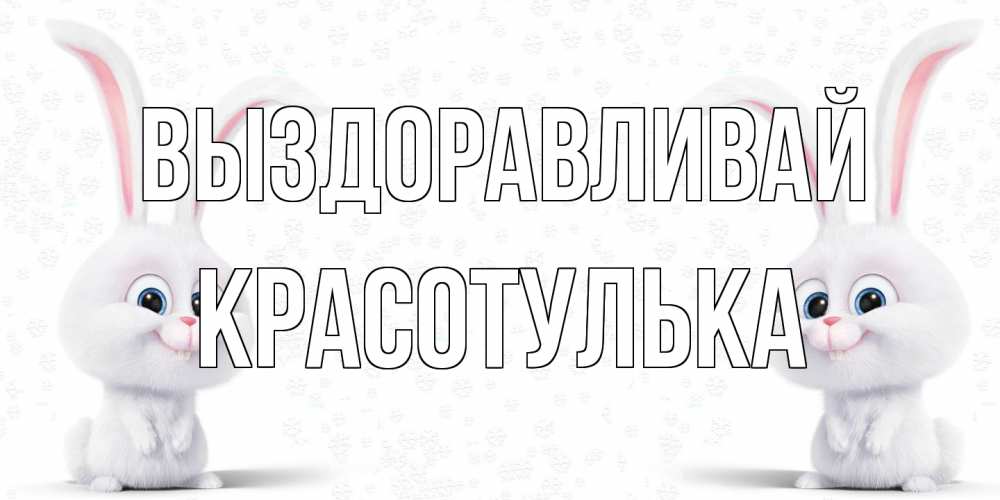 Открытка на каждый день с именем, красотулька Выздоравливай не болей с зайцем Прикольная открытка с пожеланием онлайн скачать бесплатно 