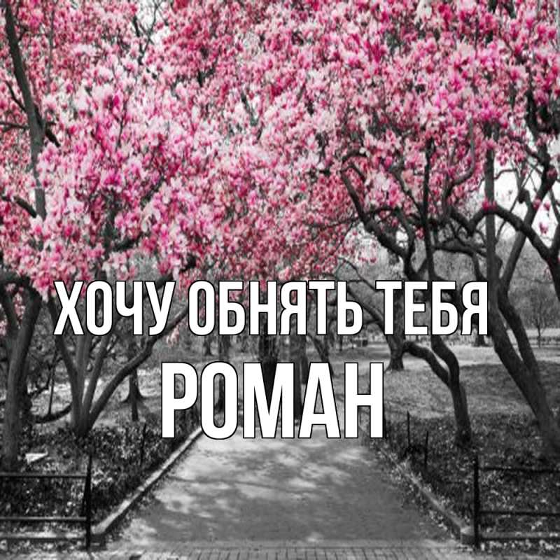 Картинка Хочу обнять тебя, Роман