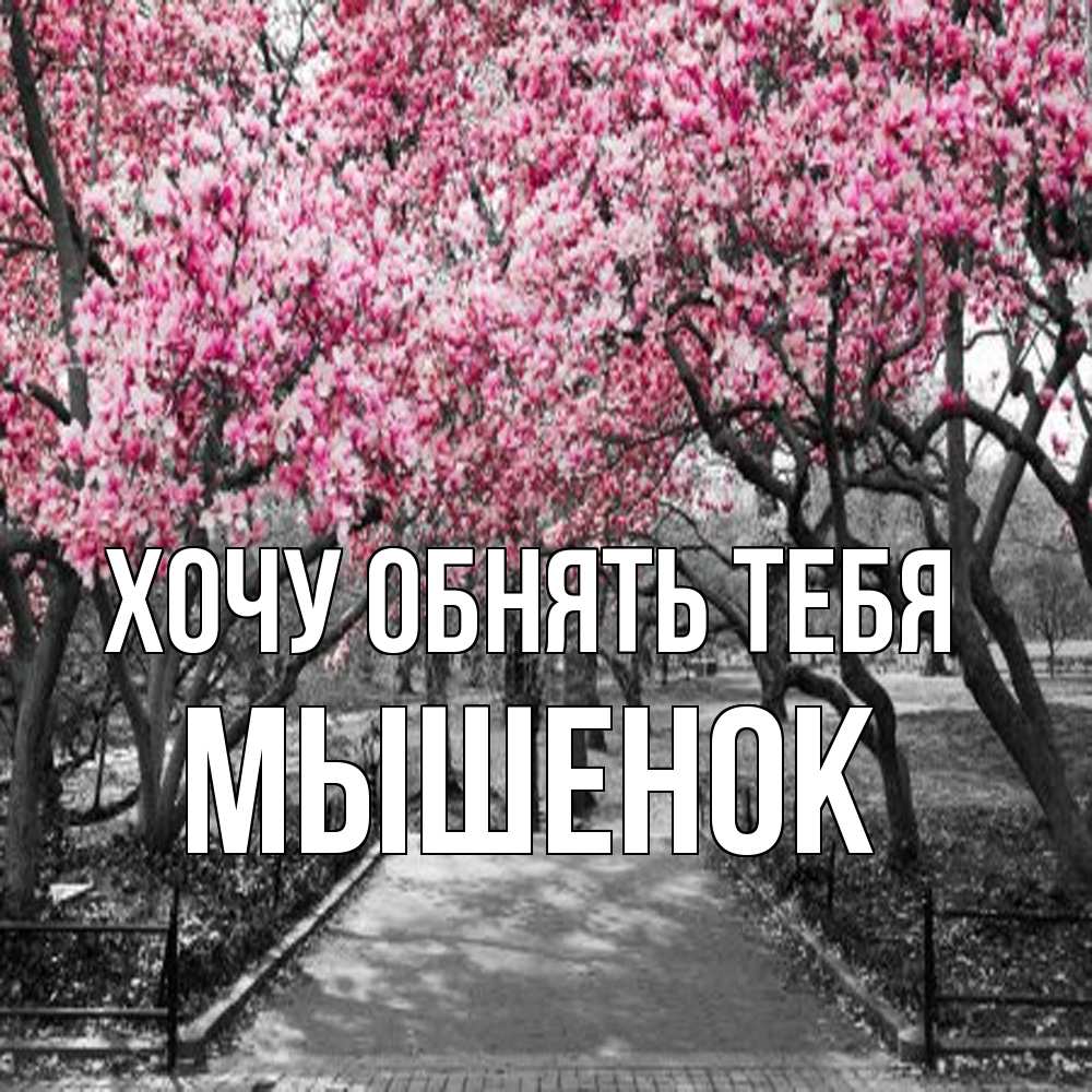Открытка на каждый день с именем, Мышенок Хочу обнять тебя обработанное фото Прикольная открытка с пожеланием онлайн скачать бесплатно 