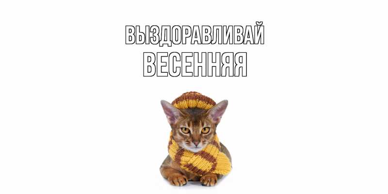 Картинка Выздоравливай, Весенняя