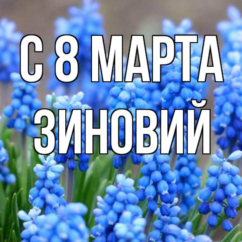 Картинка C 8 МАРТА, Зиновий
