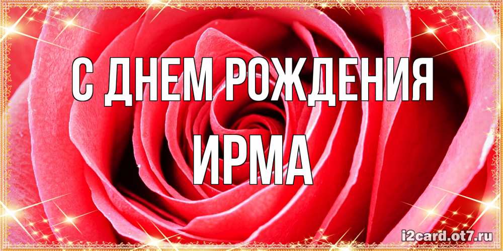 Открытка на каждый день с именем, Ирма С днем рождения розовая роза очень крупный бутон Прикольная открытка с пожеланием онлайн скачать бесплатно 