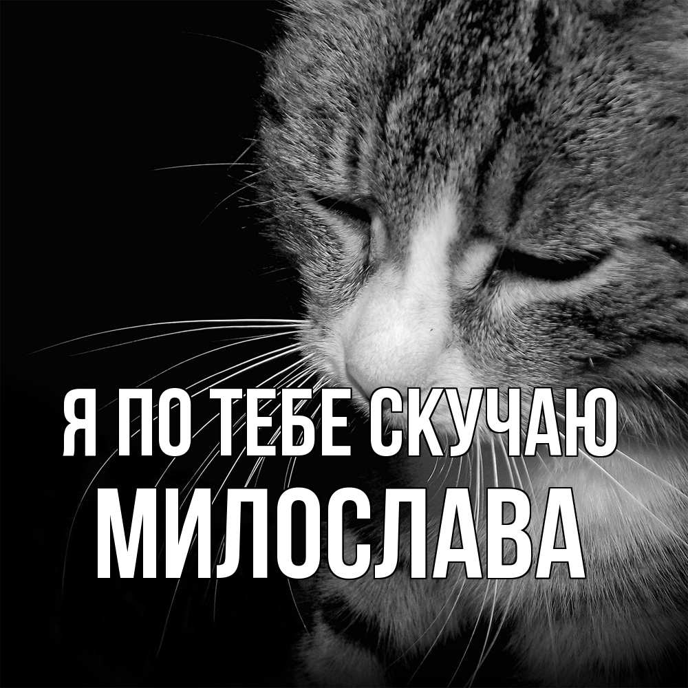 Открытка на каждый день с именем, Милослава Я по тебе скучаю мне скучно Прикольная открытка с пожеланием онлайн скачать бесплатно 
